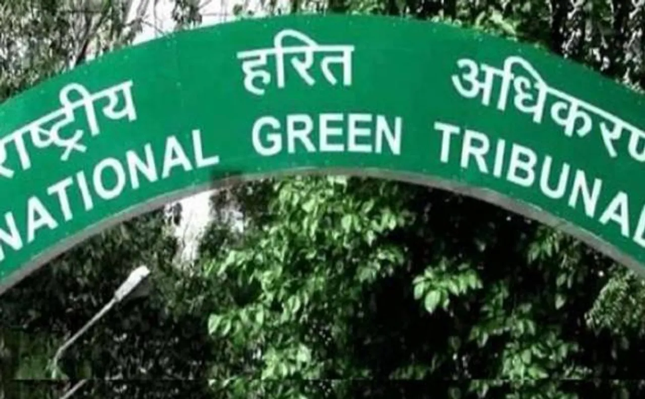 NGT prohibits Hindi language, only English permissible in its proceedings  
