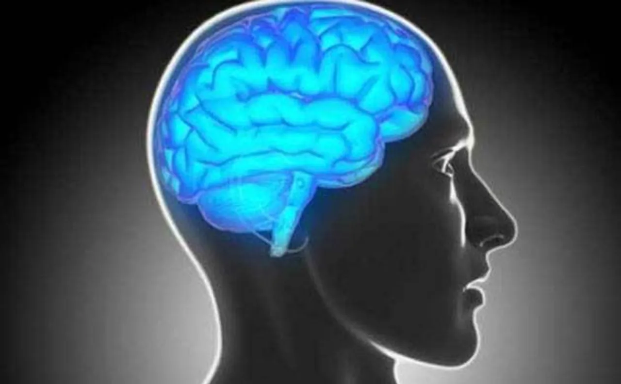 In a first, scientists track human thought by imaging brain activity