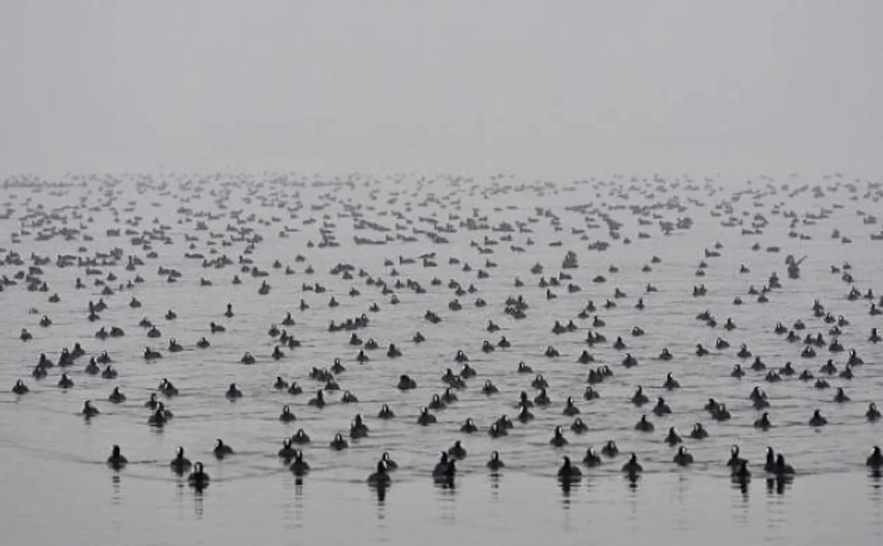 Cold wave intensifies in Jammu & Kashmir; Dal lake, other water bodies freeze in Srinagar