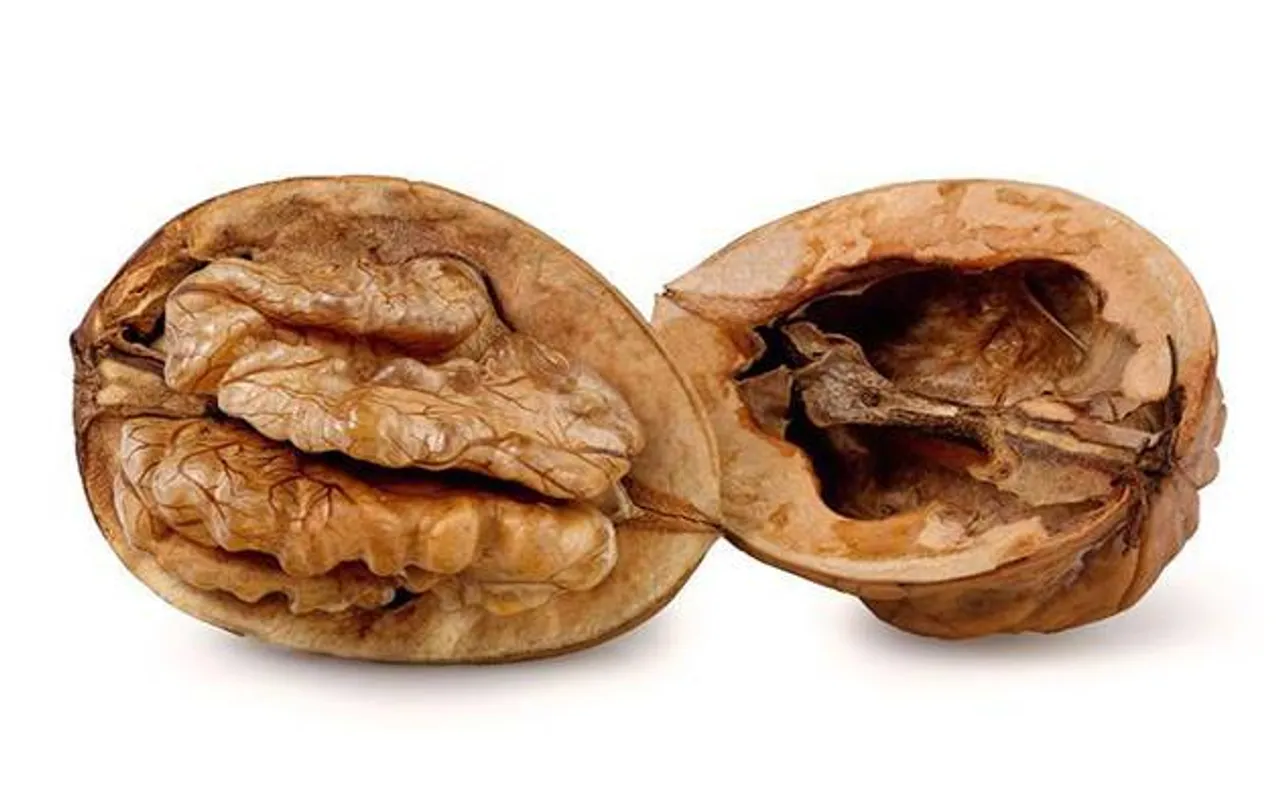 Walnut-enriched diet can prevent Alzheimerâ€™s disease, study claims