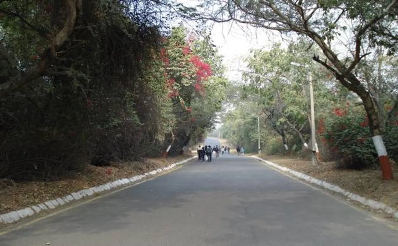 Sniffer dogs on JNU campus to get clues on missing student Najeeb Ahmed
