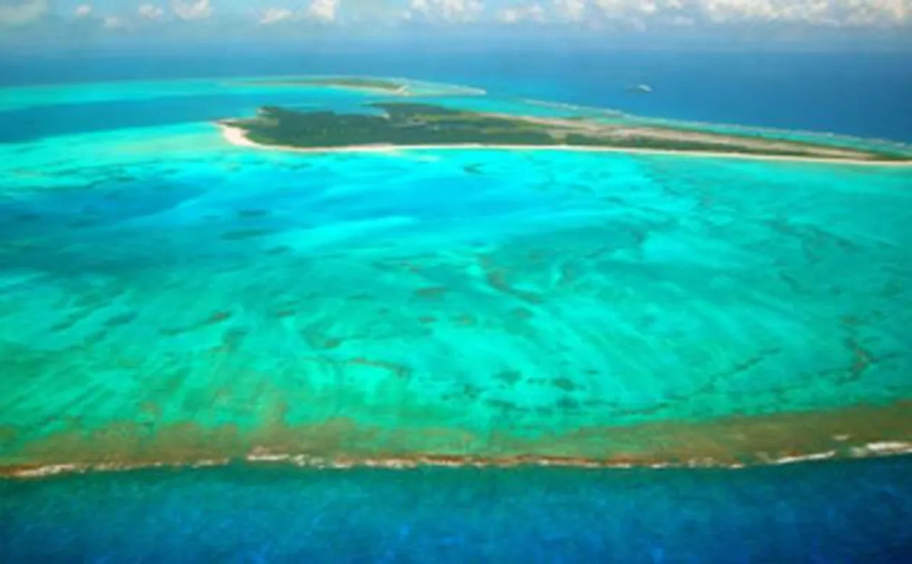 NASAâ€™s space-based sensor maps plankton behaviour on earth like never before