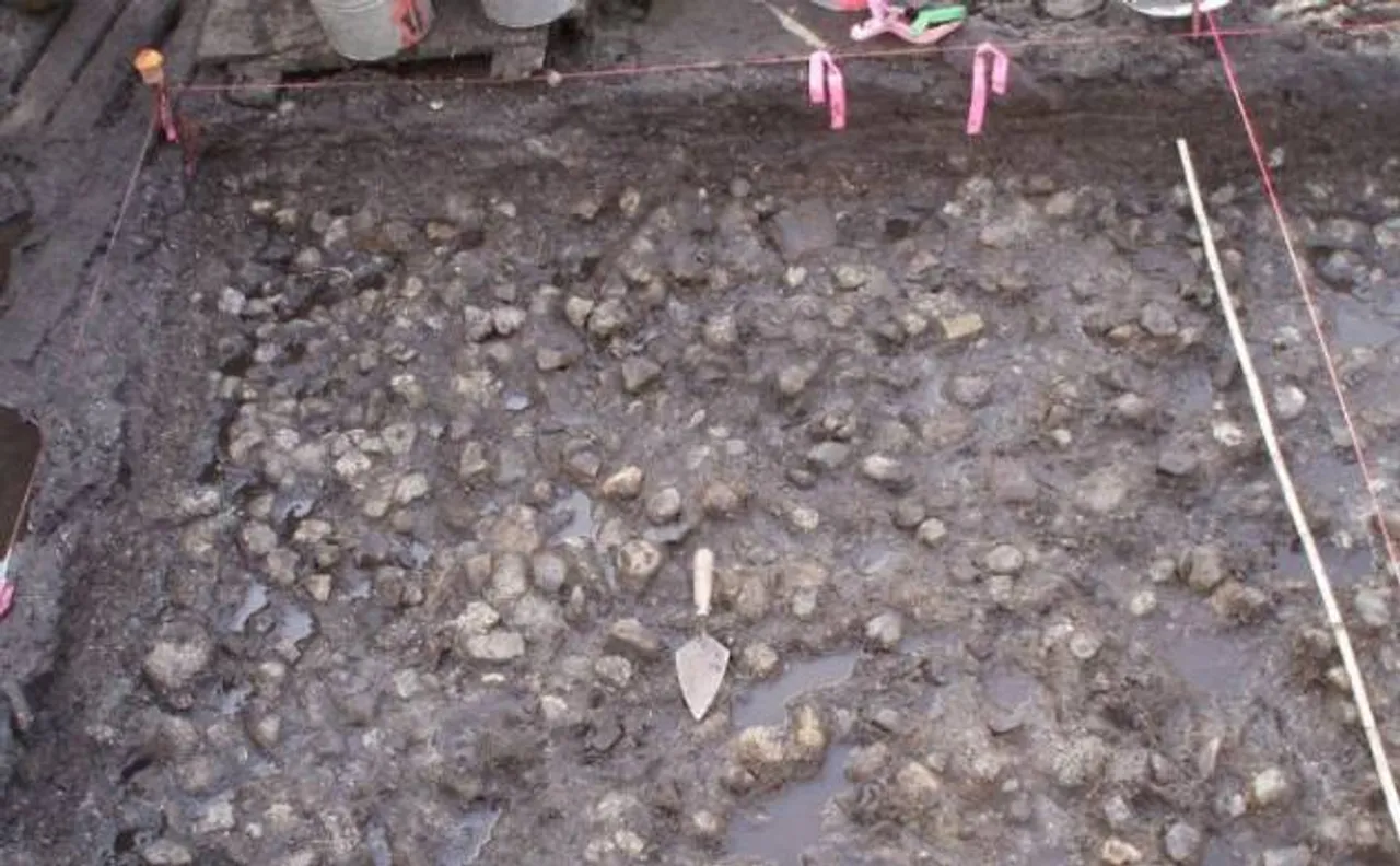 Canada: 3,800-year-old underwater garden with hundreds of blackened potatoes discovered