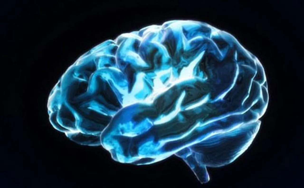 Brain dead man gives new lease of life to five persons