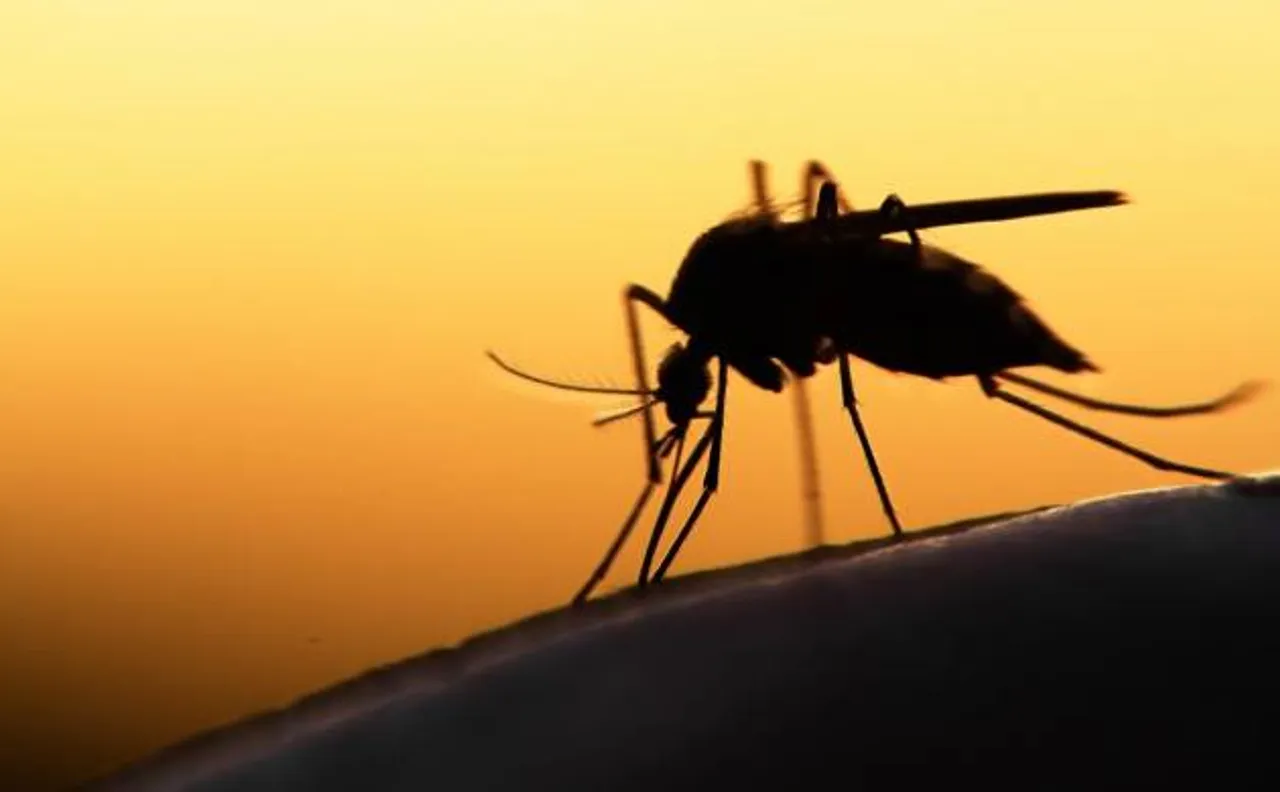 Death due to mosquito bite an accident, liable for insurance claim: Commission 
