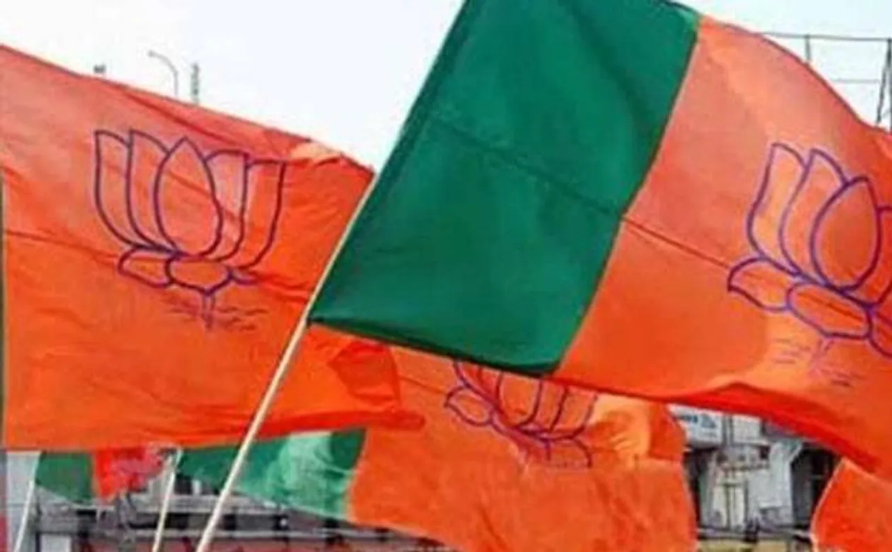 BJP emerges winner in Maharashtra civic body elections, Congress secures second position