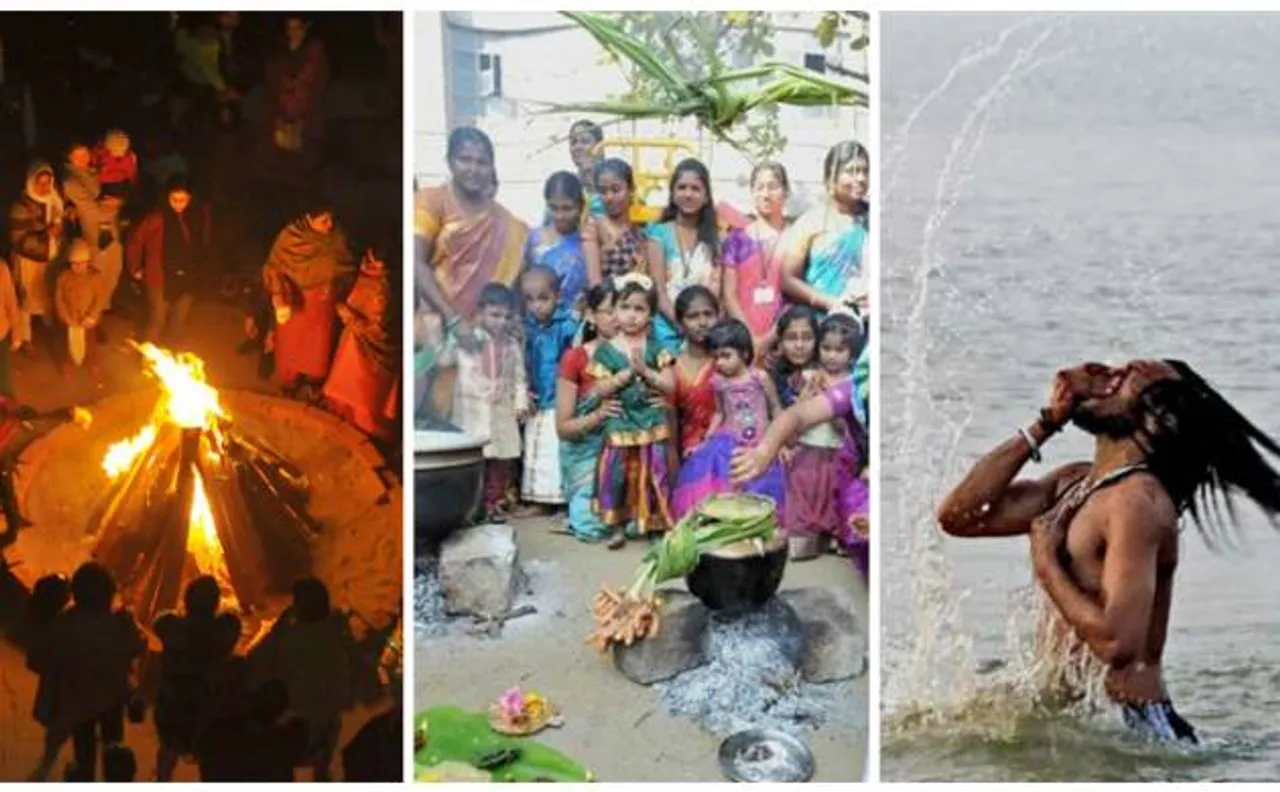 Lohri, Pongal, Makar Sakranti: India celebrates harvest festivals