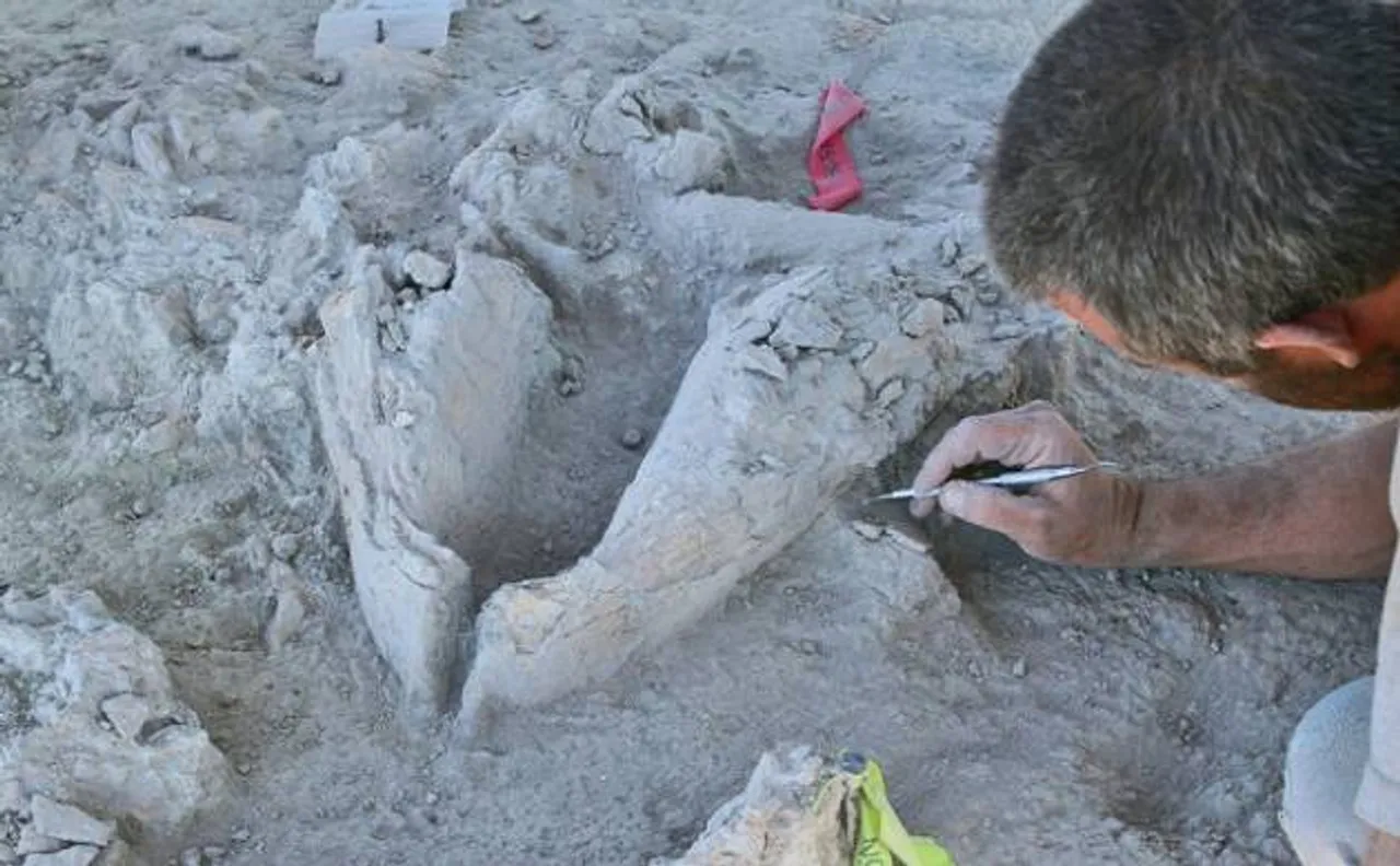 Humans arrived in North America ten thousand years earlier than thought: Study