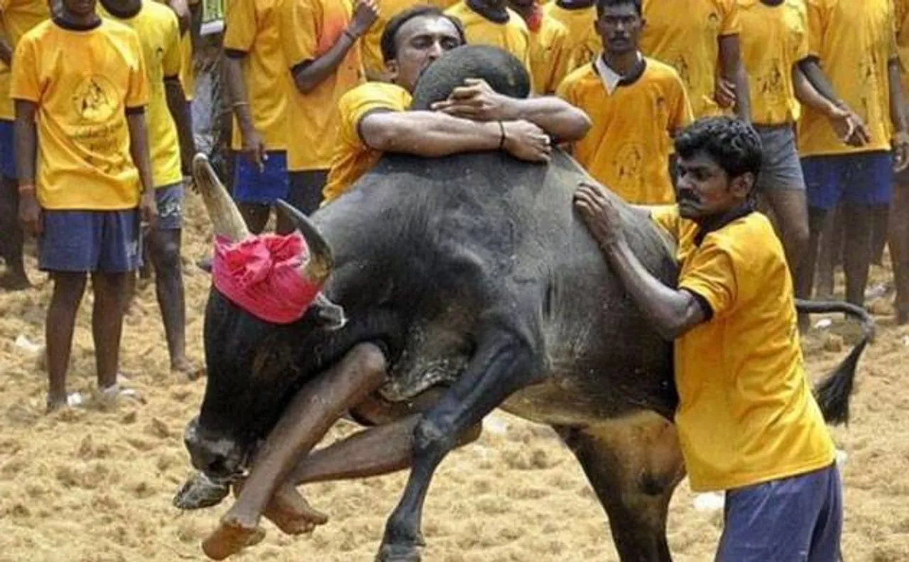 Jallikattu row: Rajinikanth, Kamal Haasan and other actors join protest, here is what all happened on Friday