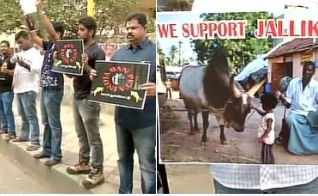 Jallikattu row: Actor Suriya sends legal notice to PETA, demands unconditional apology 