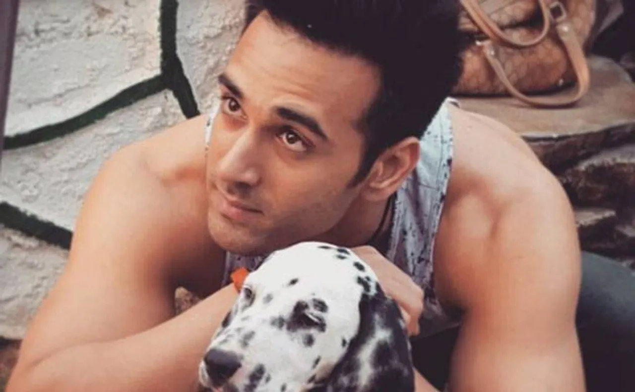 Pulkit Samrat looses his cool on photo journo after filing divorce case with Shweta Rohira