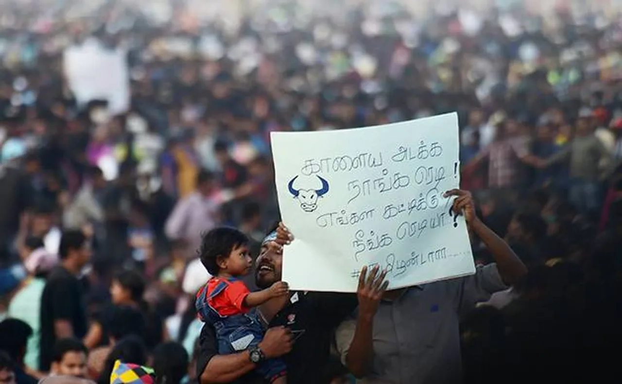 Anti-social elements crept into pro-Jallikattu protests in Chennai: Police