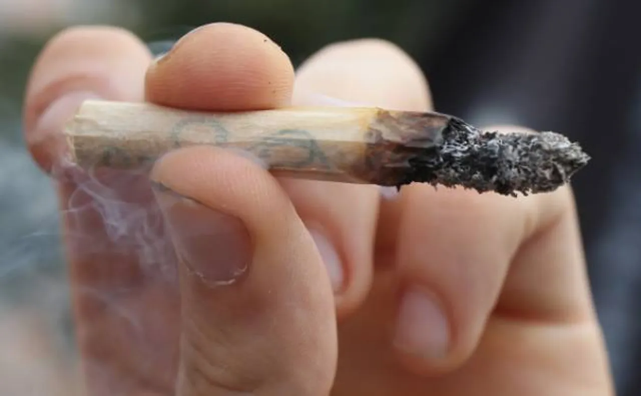   Smoking marijuana during adolescence linked to verbal IQ difficulties