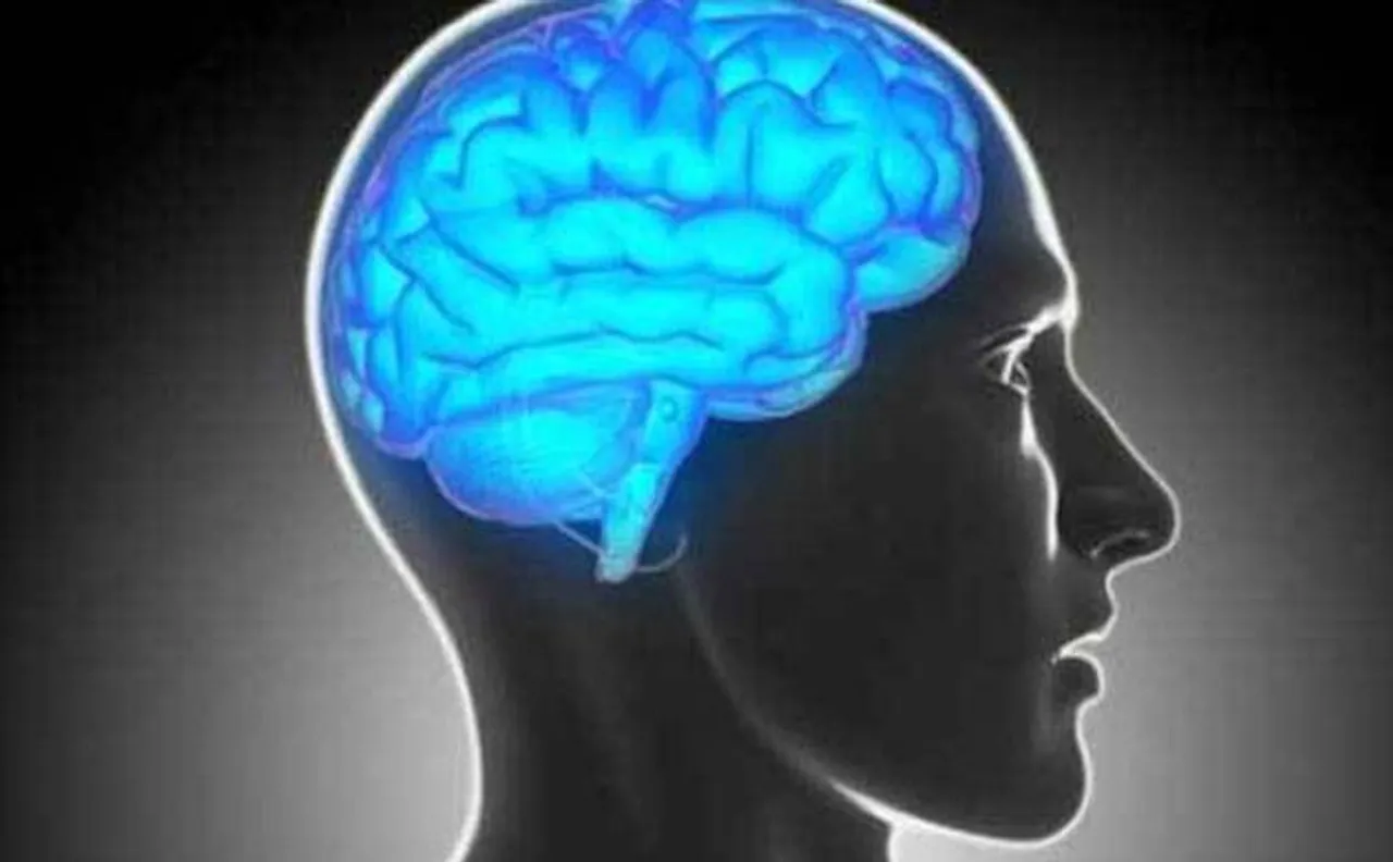 World's tiniest hammer may help understand traumatic brain injuries