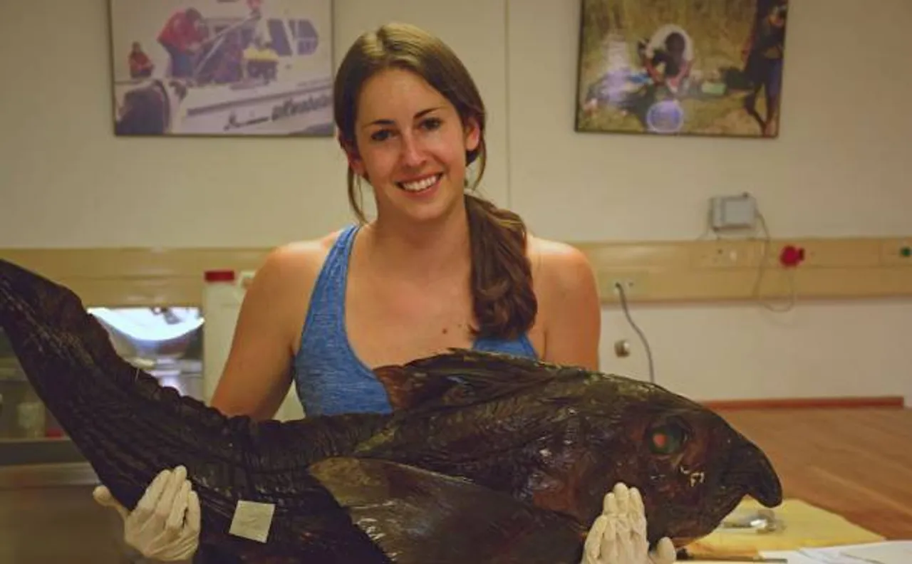 Scientists discover 50th described species of ghost shark