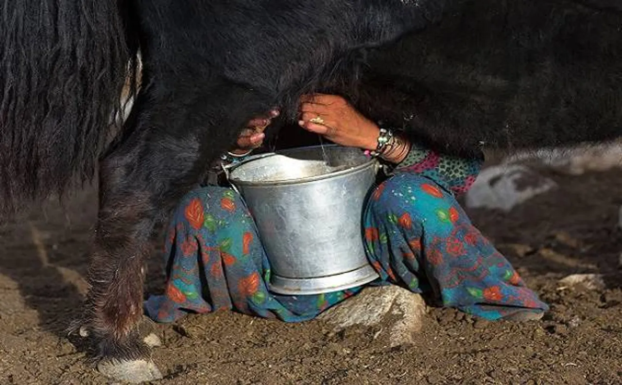 Multi-fold rise in cashless payments to farmers in dairy sector, says Govt