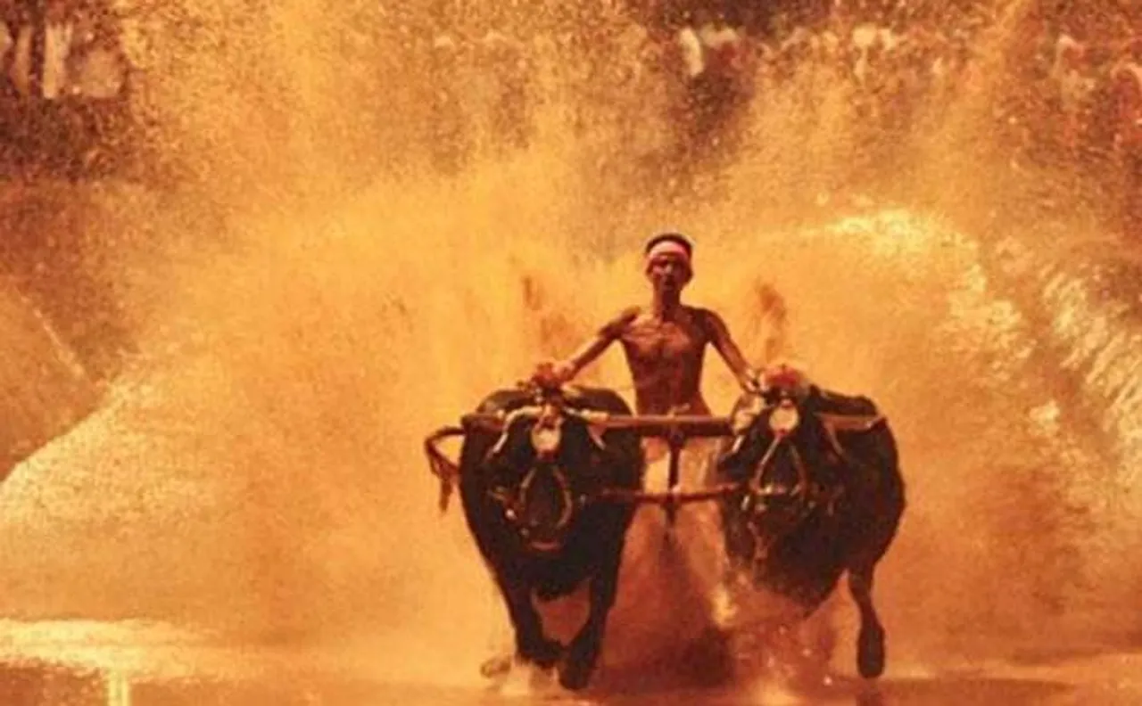 Karnataka Assembly introduces bill to facilitate Kambala