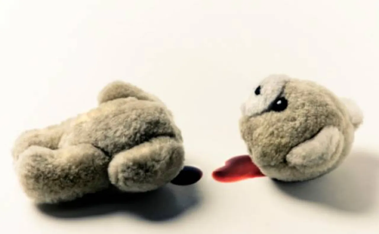 Valentine's Day : ISIS priest beheads Teddy Bear, sends violent warning against celebration