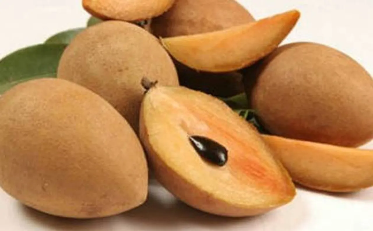 Gujarat: Doctors remove chikoo seed from womanâ€™s windpipe after two months