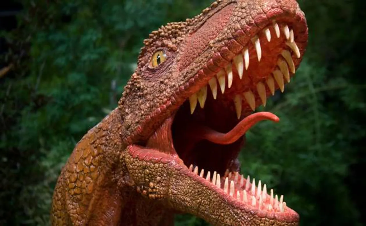 Would you like to touch a dinosaur and walk with it? They may soon bounce back to life, here's how