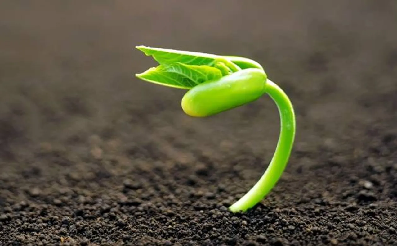 NASA astronauts will grow their own food in space, thanks to new plant habitat