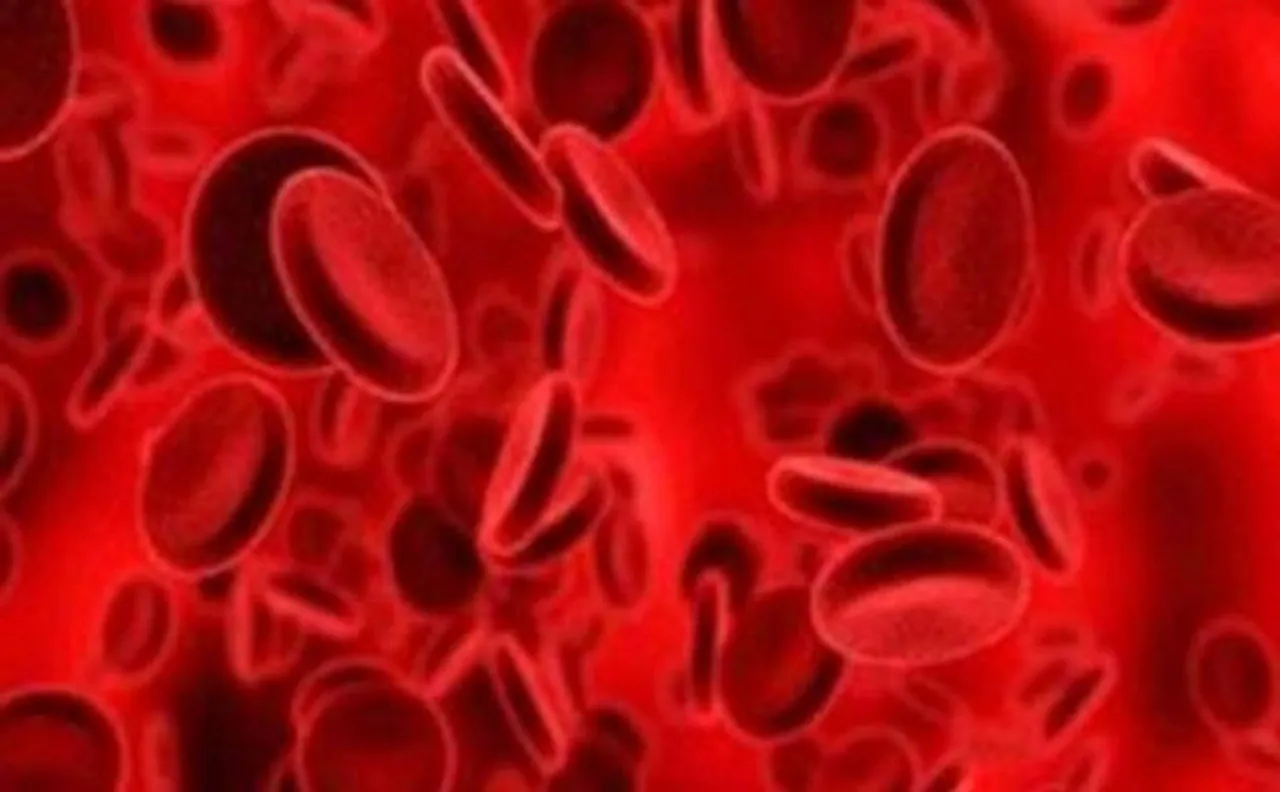 3D printed, lifelike blood vessel structure created by scientists