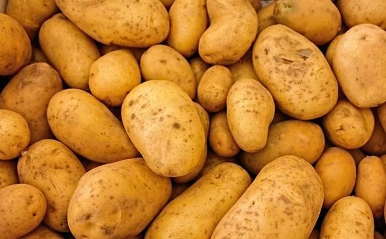 Potatoes may grow on Mars, claim scientists through experiment