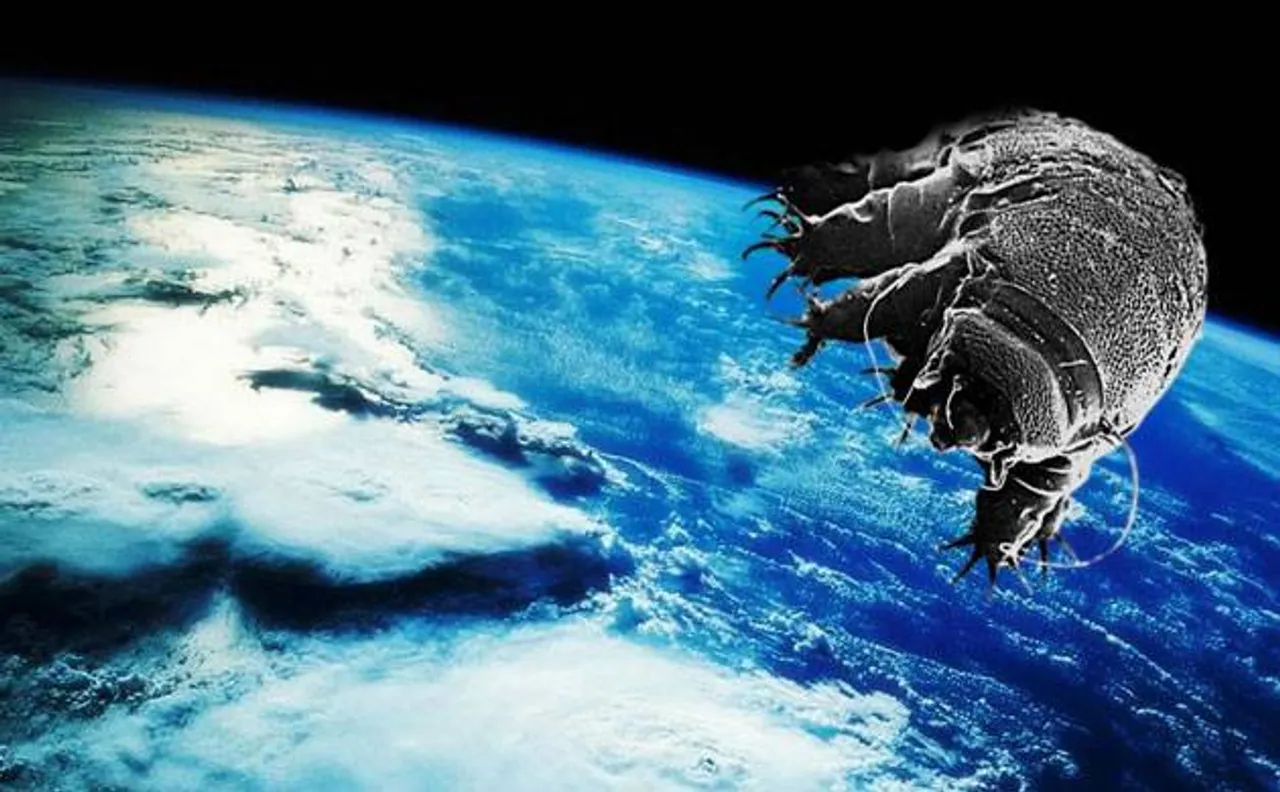 Why Tardigrades, toughest animals in the world, never die? Scientists have an answer