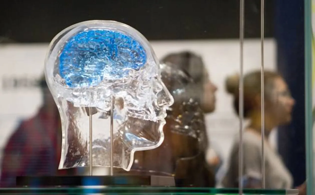  Blood flow that ensures optimal brain function is controlled by Protein 'switch': Study