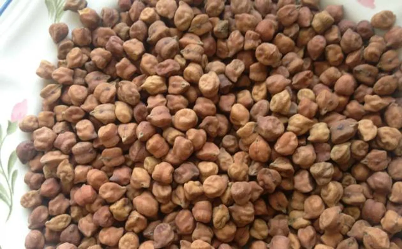 Govt plans imposing 25 per cent import duty on Chana to safeguard farmers