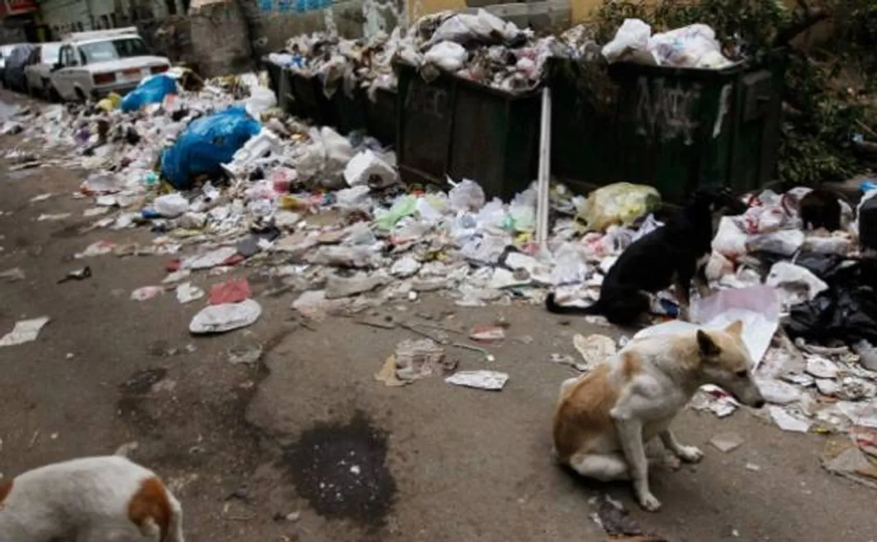 SHOCKING! Dogs eat patient's dead body in MP government hospital