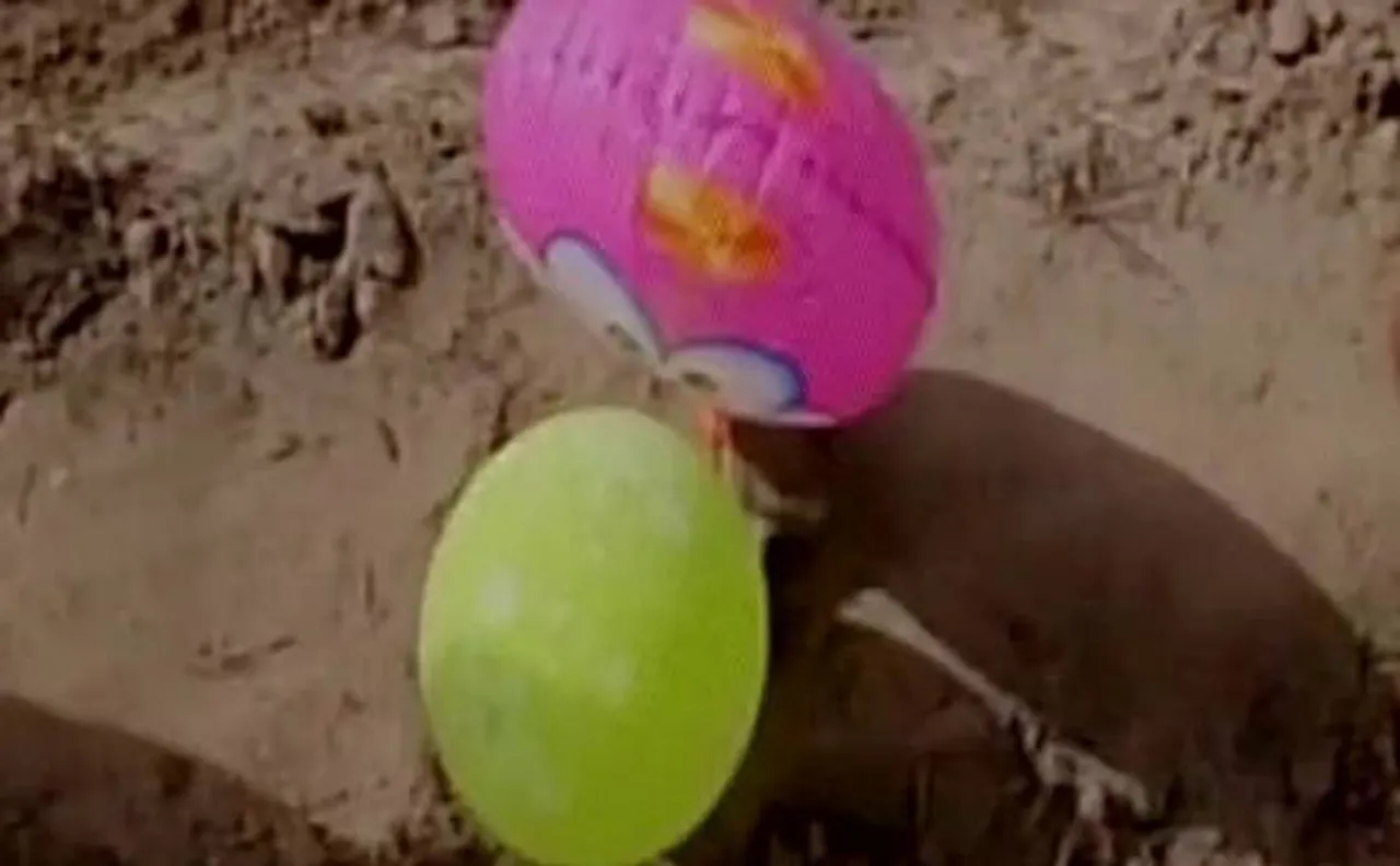 Suspicious balloons with Pakistani currency, pieces of paper with coded words found in Punjabâ€™s Kapurthala