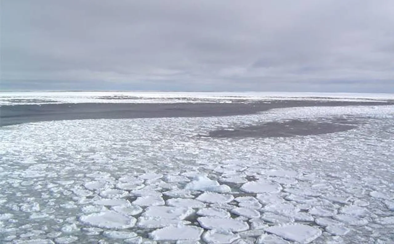 Algae blooms in Arctic as thinning ice lets in light