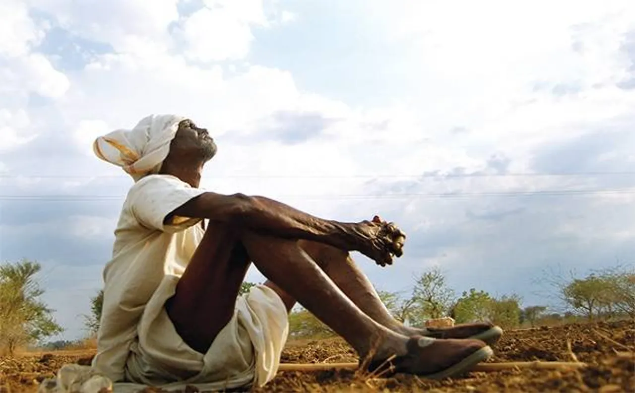 Waive loans of drought hit farmers: Madras High Court to TN govt