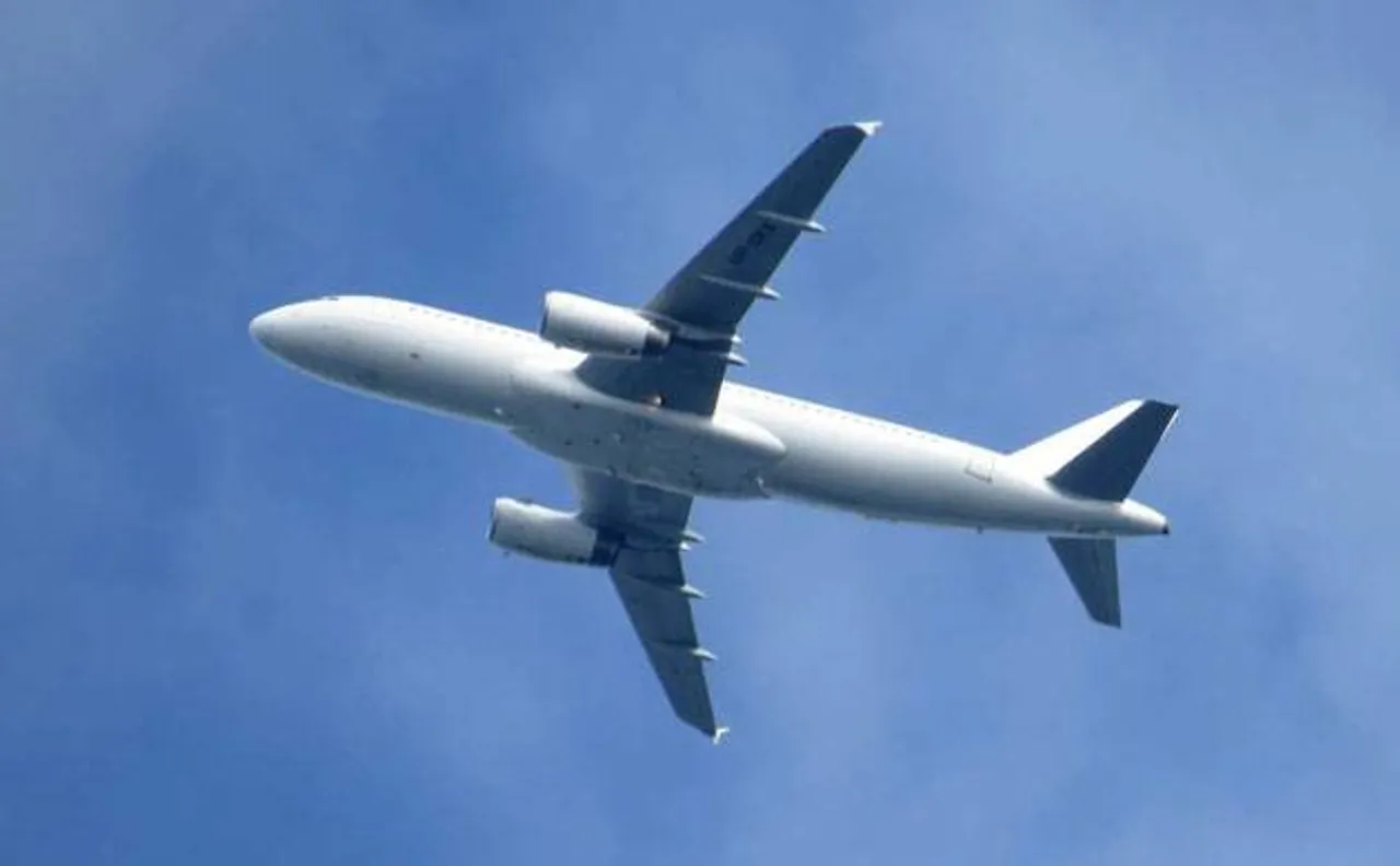 Poop from skies: National Green Tribunal asks Centre to pay Rs 5,000 to petitioner
