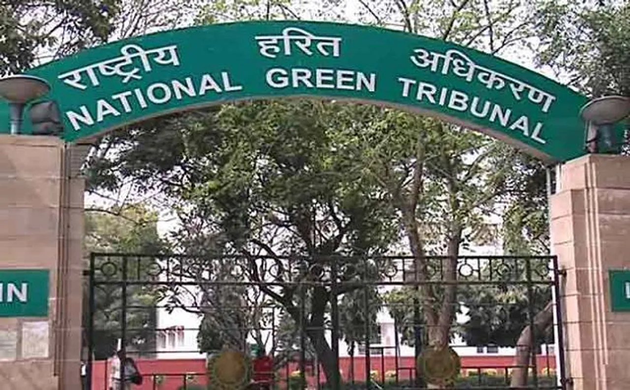 Rehabilitation of Yamuna foodplains needs over 10 years costing Rs 13.29 crore, NGT told
