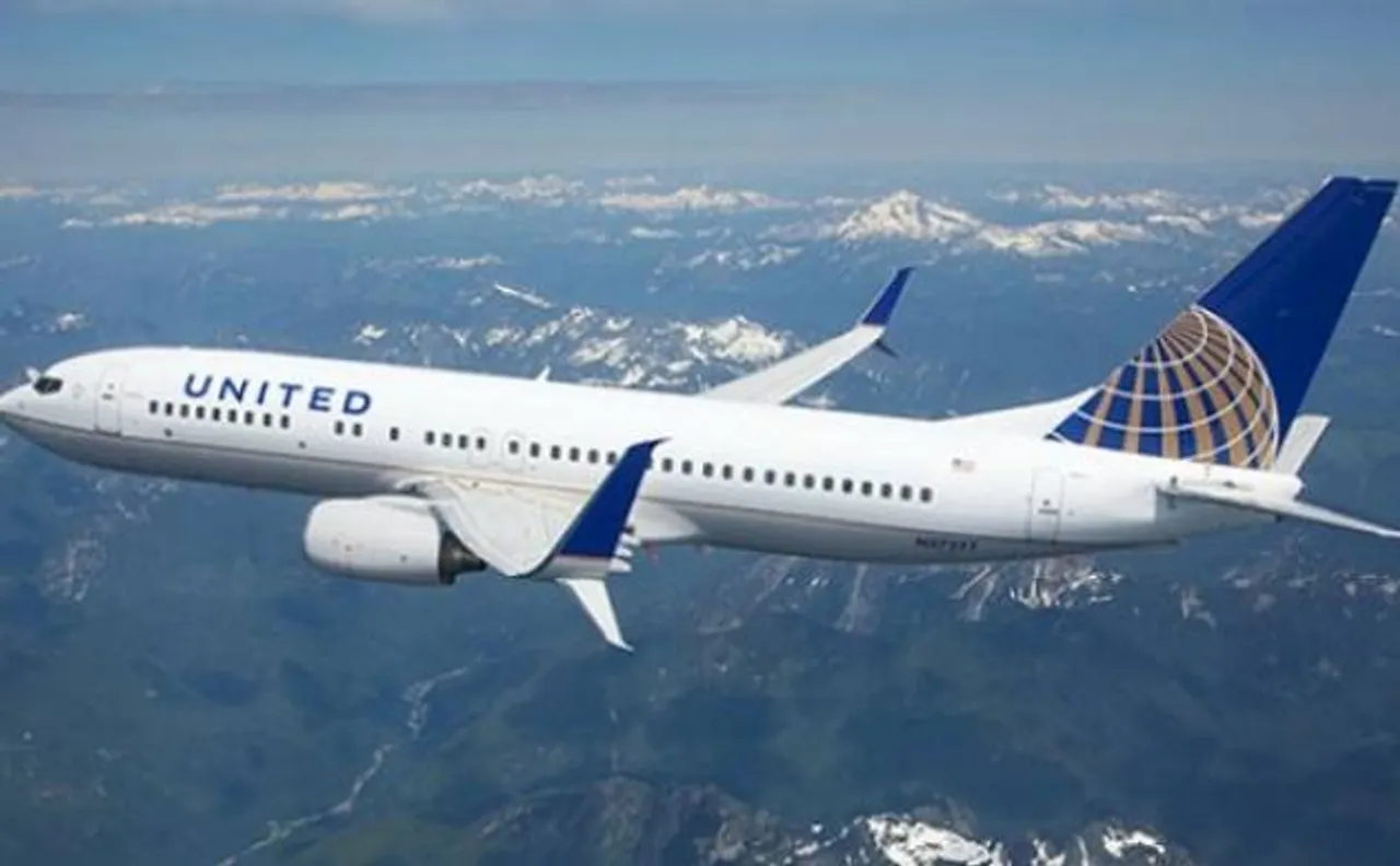 Scorpion found on United Airlines flight, stings passenger