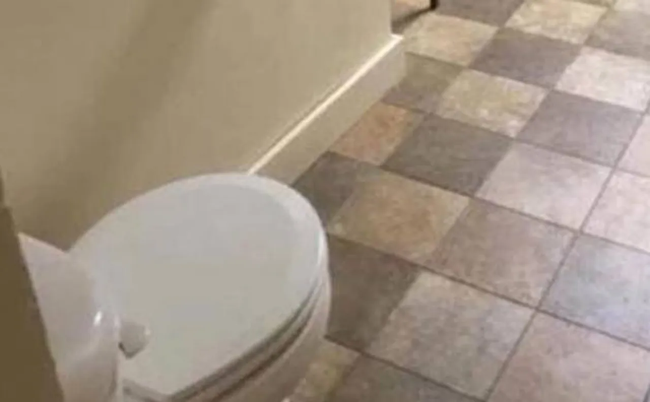 Over 1 crore households in urban India don't have bathrooms: HUPA