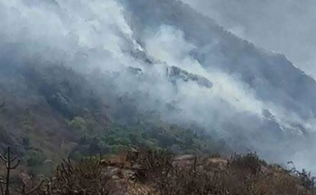 Mount Abu forest fire continues to rage on fourth day