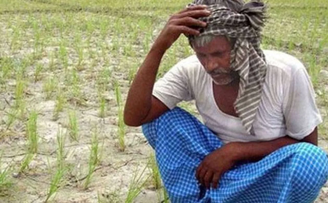 Farm loan waivers to touch 2 per cent of GDP in run-up to 2019 polls, say analysts