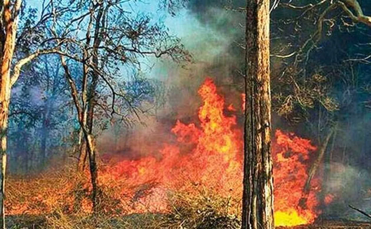 IAF, Army join operation to douse fire at Mukundra Hills tiger forest reserve