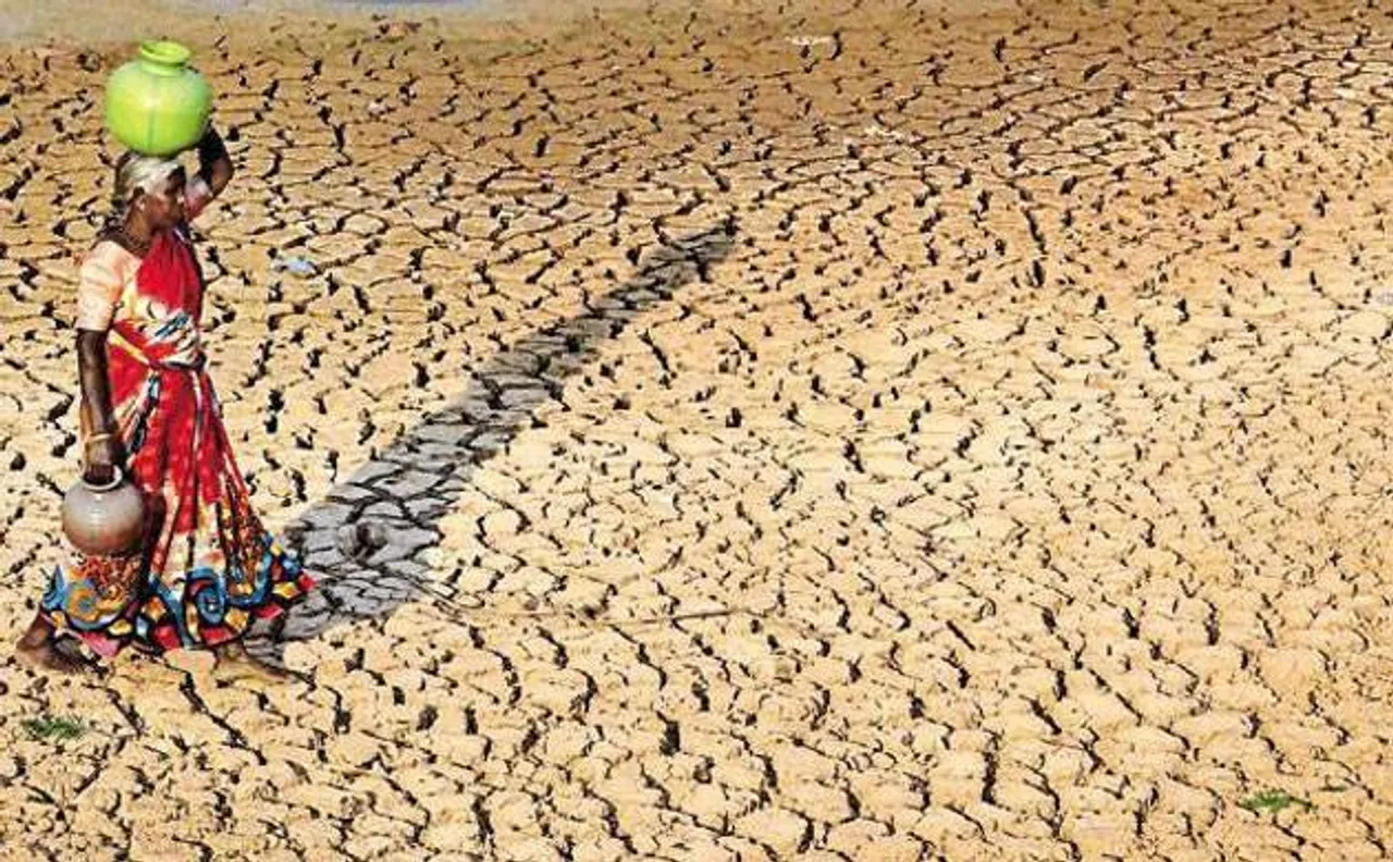 Kerala: Central team to study drought like situation in Wayanad district