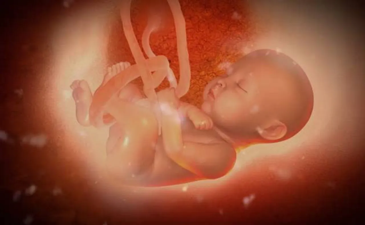 Premature babies? Artificial womb developed to improve their chances of survival