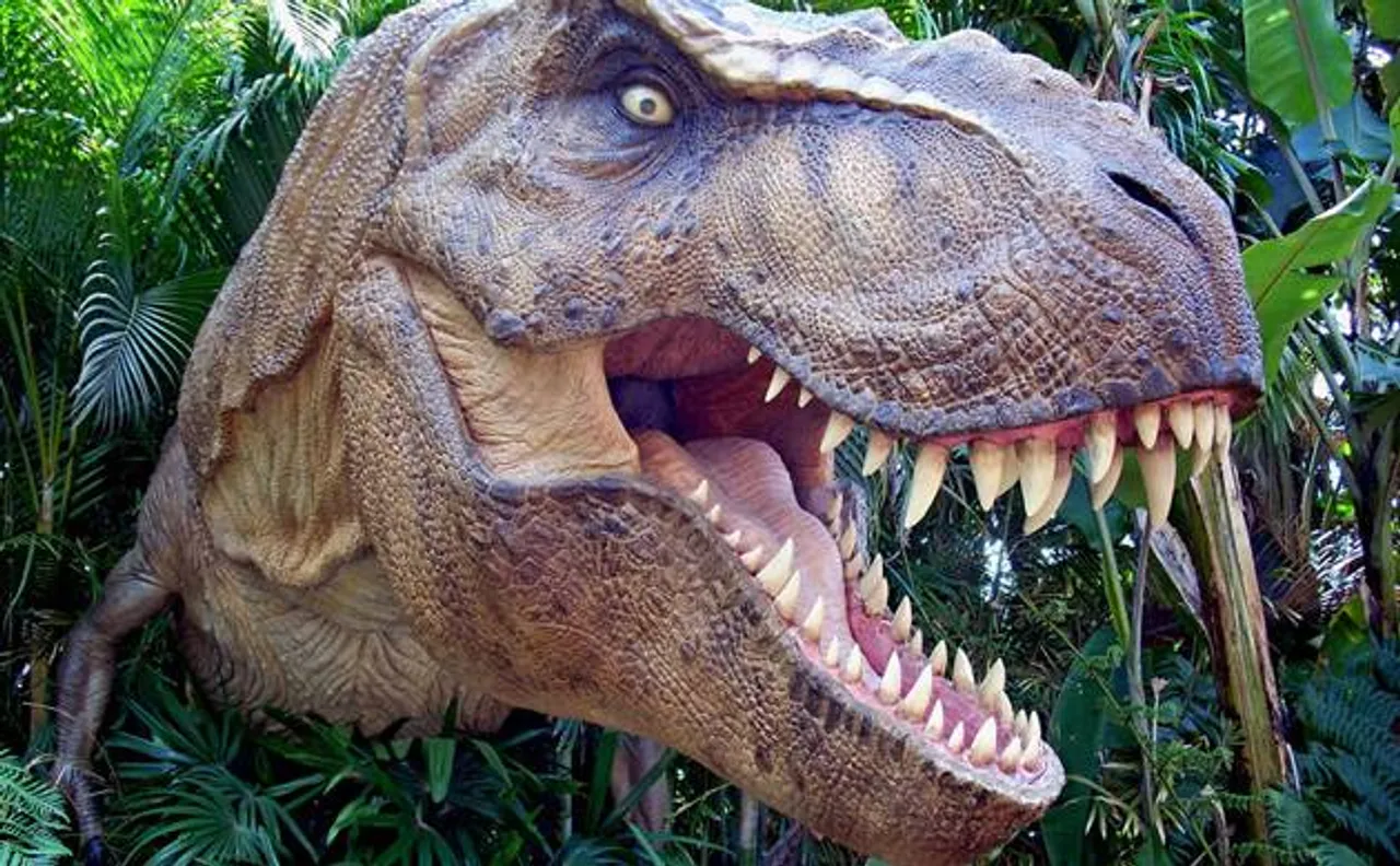 66-million-year-old last dinosaur that lived in Africa discovered in Morocco