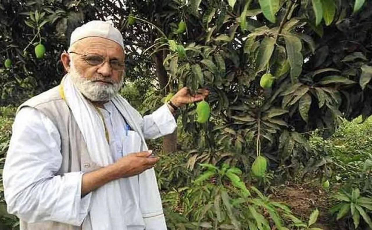 UP man invents new variety of mango; to name it after CM Yogi Adityanath