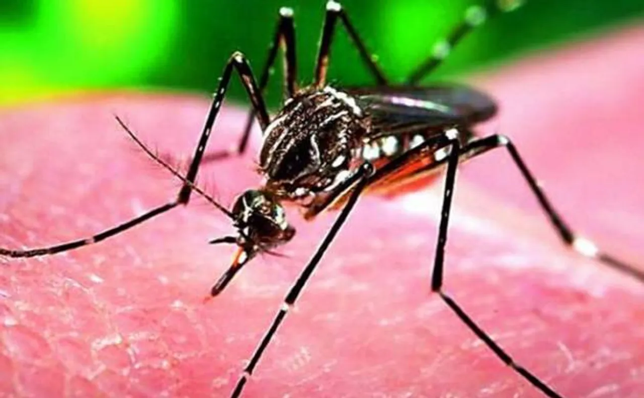 Brazil declares end to 'Zika virus' emergency after a sink in cases