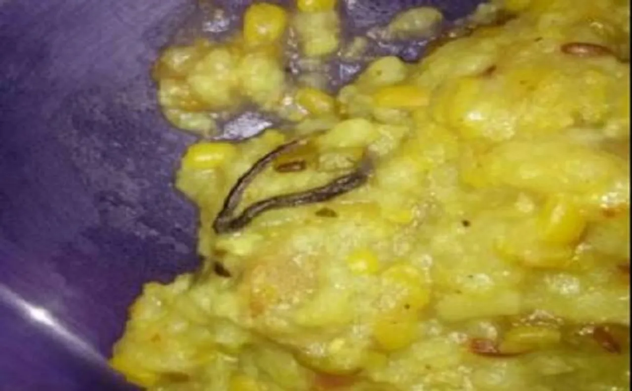 Haryana: Snake found in mid-day meal at govt girls school in Faridabad