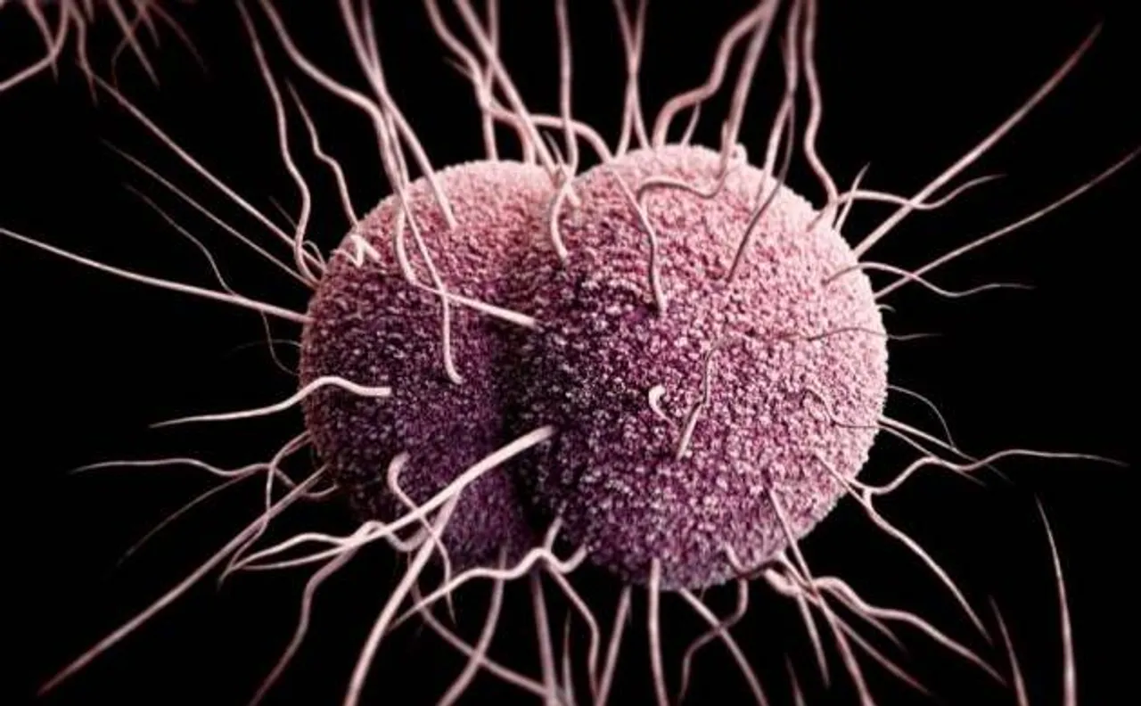 Superbugs or antibiotic-resistant bacteria existed well before the age of dinosaurs, says study