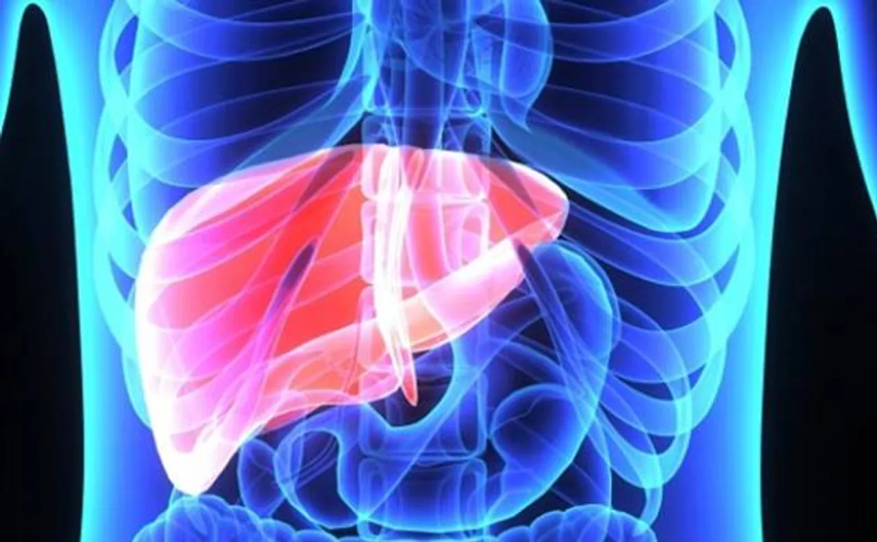 Intestinal fungi harmful for people suffering from alcoholic liver disease, says study