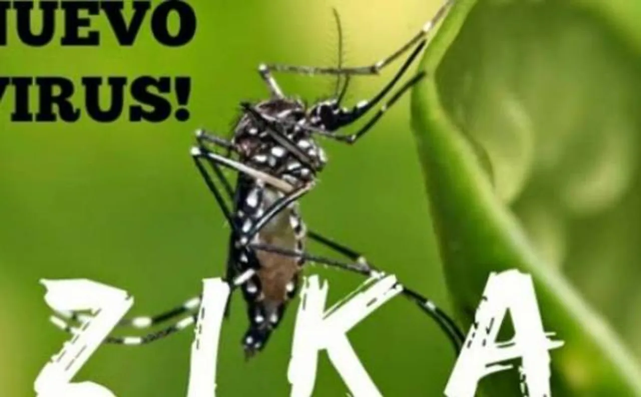 Zika threat in India: WHO report confirms 3 cases were detected in Ahmedabad in January, govt says no need to panic